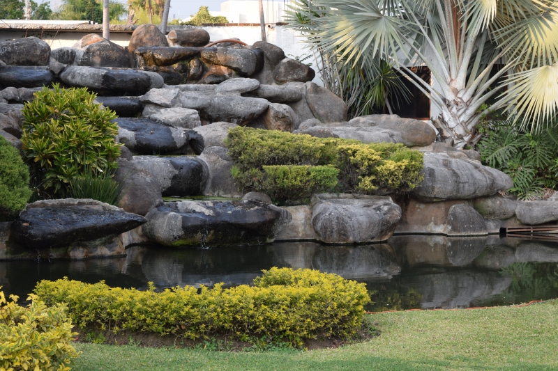 paysagiste-ROQUEBRUNE SUR ARGENS-min_garden-green-rock-natural-landscape-wall-grass-1613997-pxhere.com